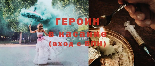 индика Гусев