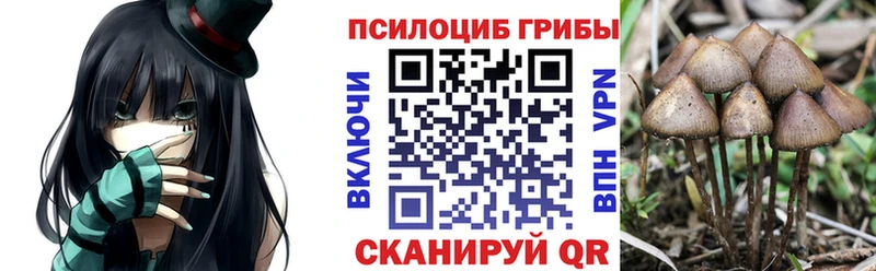 Галлюциногенные грибы прущие грибы Олёкминск